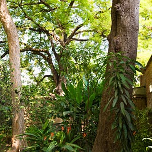 exterior-huerta